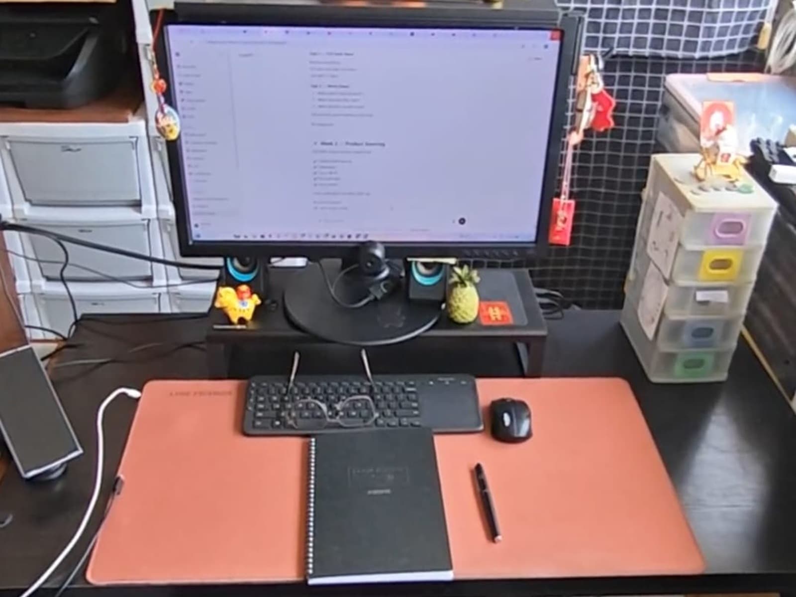 Organized desk using file organizer